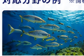 魚群を観察する環境・水産研究のイメージ